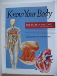 The Human body