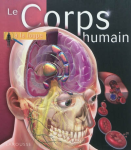 Le corps humain à la loupe