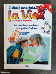 La bouche et les dents ; Le goût et l'odorat